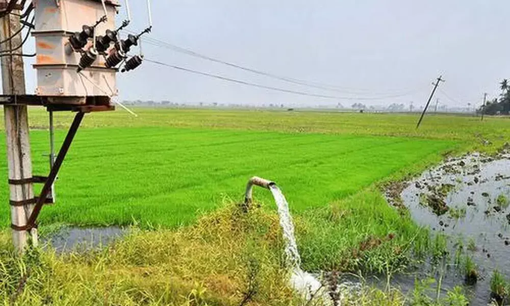 Farm Bill jolt slows down govt on power reforms