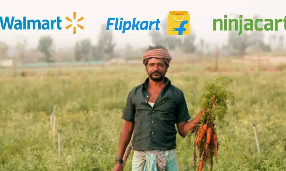 Ninjacart raises $145 mn from Flipkart, Walmart