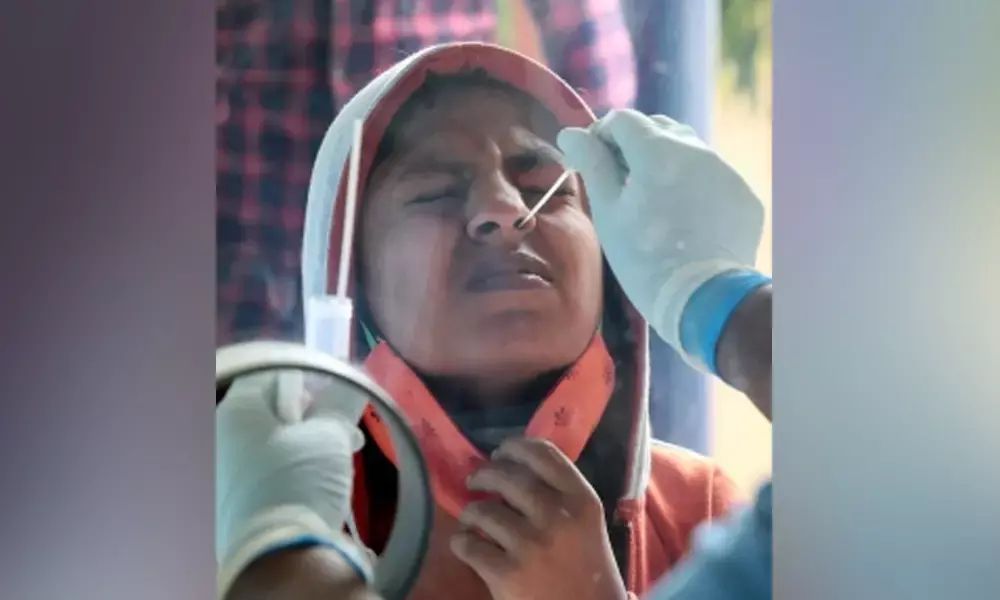 India reports 7,447 new Covid cases, 391 deaths