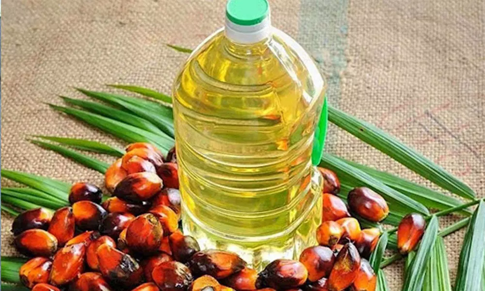 Govt cuts 5% import duty on refined palm oil