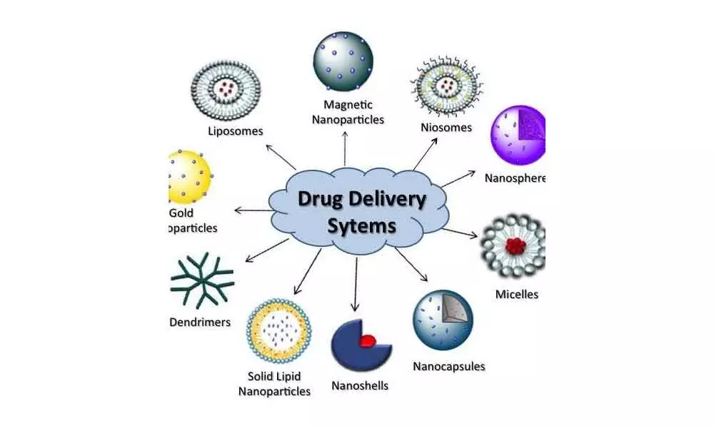 IIT-D develops critical drug delivery tech