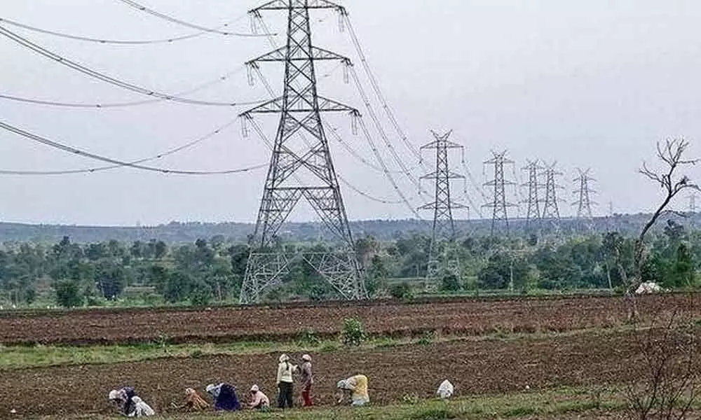 AP spending Rs 8,400 cr for free power to agri consumers