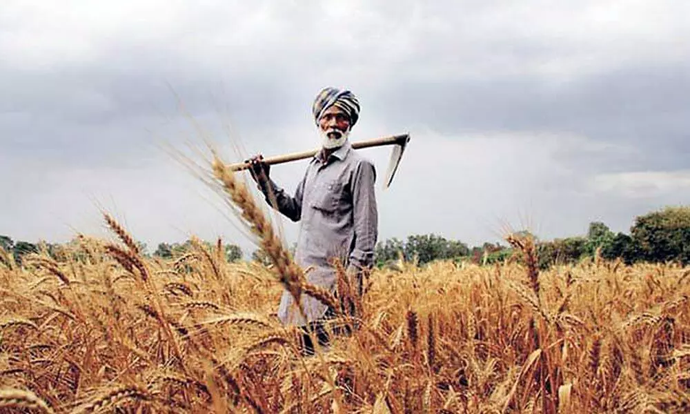 India needs robust agri marketing reforms