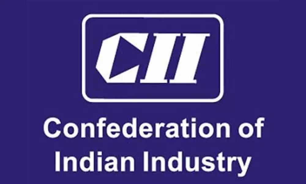 Budget is growth-oriented and inclusive: CII AP