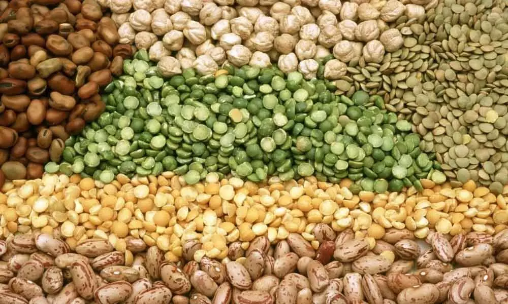 India should focus on pulses productivity, not just MSP