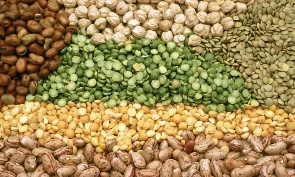 India should focus on pulses productivity, not just MSP