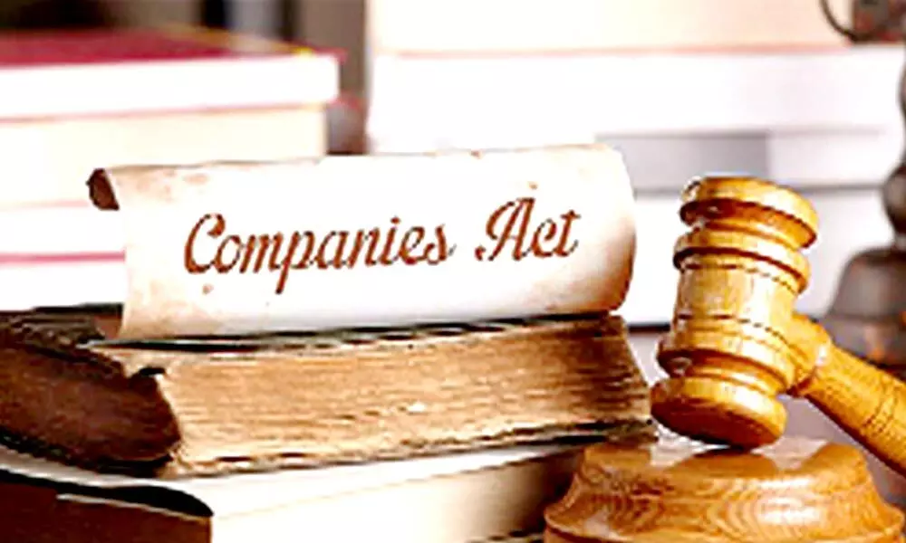 Foreign cos misusing some provisions in Companies Act