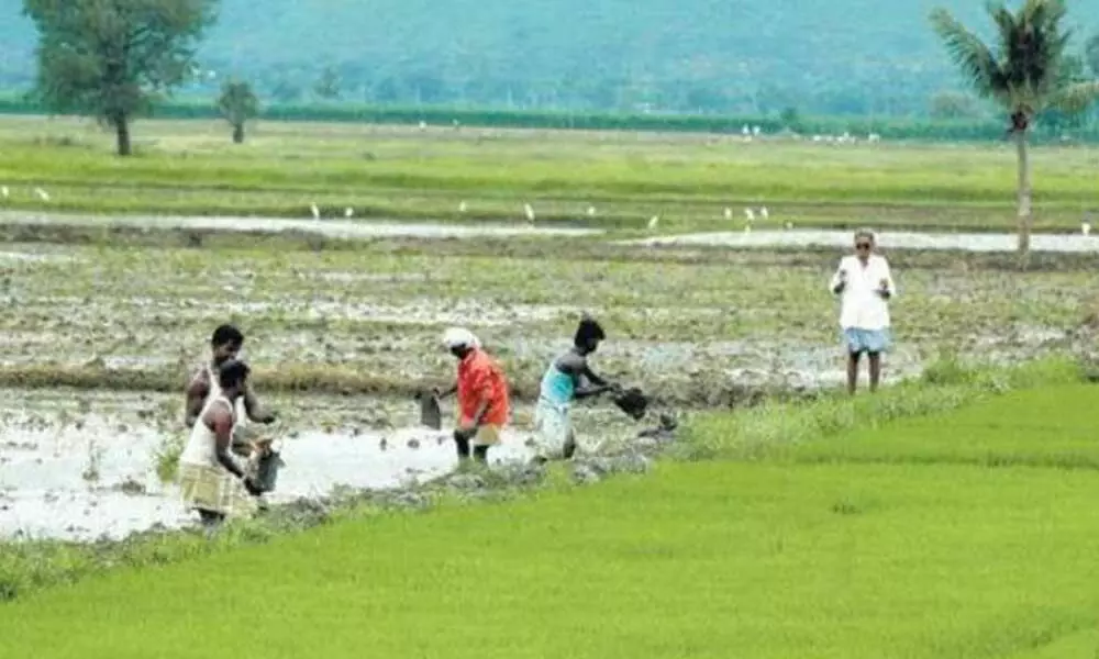 The key to village prosperity lies in assured farm income The key to village prosperity lies in assured farm income