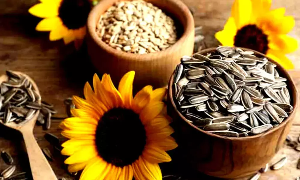 India banks on mustard as sunflower seeds imports hit