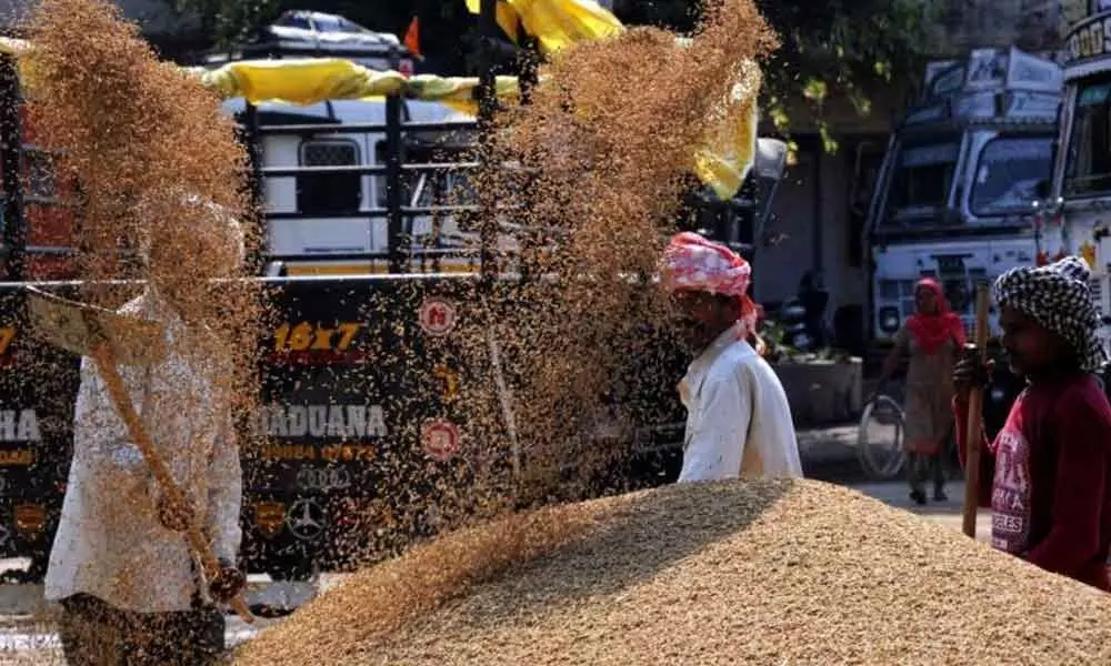 Indian wheat exports get fresh push as prices soaring amid Ukraine war