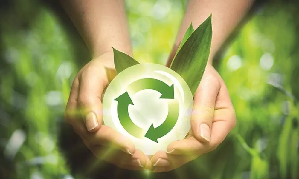 Circular economy: Turning waste into energy