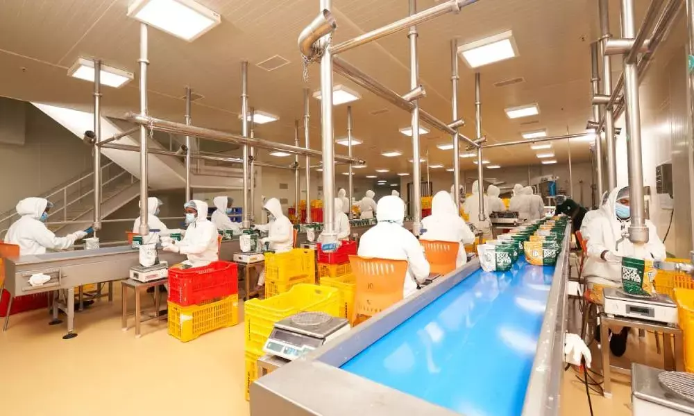 iD Fresh Food plans to launch batter factory in Hyderabad