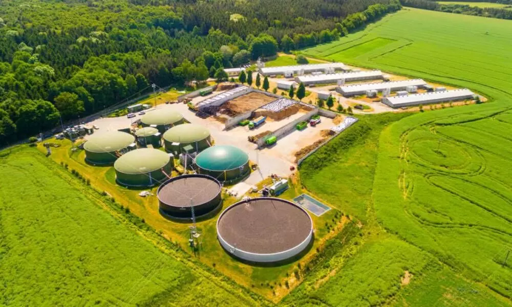 Dodla wins IBA’s award for contribution to biogas industry