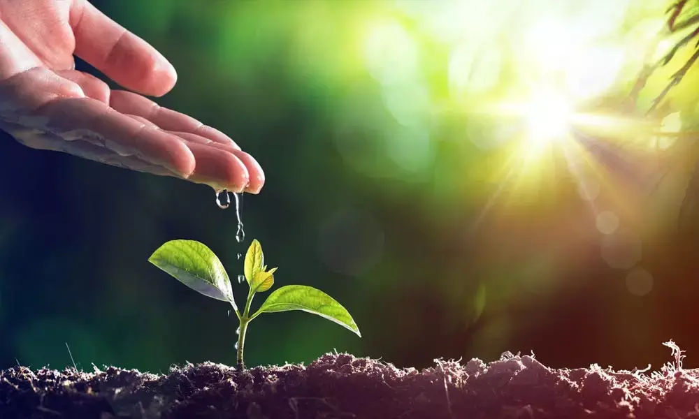 Everybody talks about environment, What about ground action?