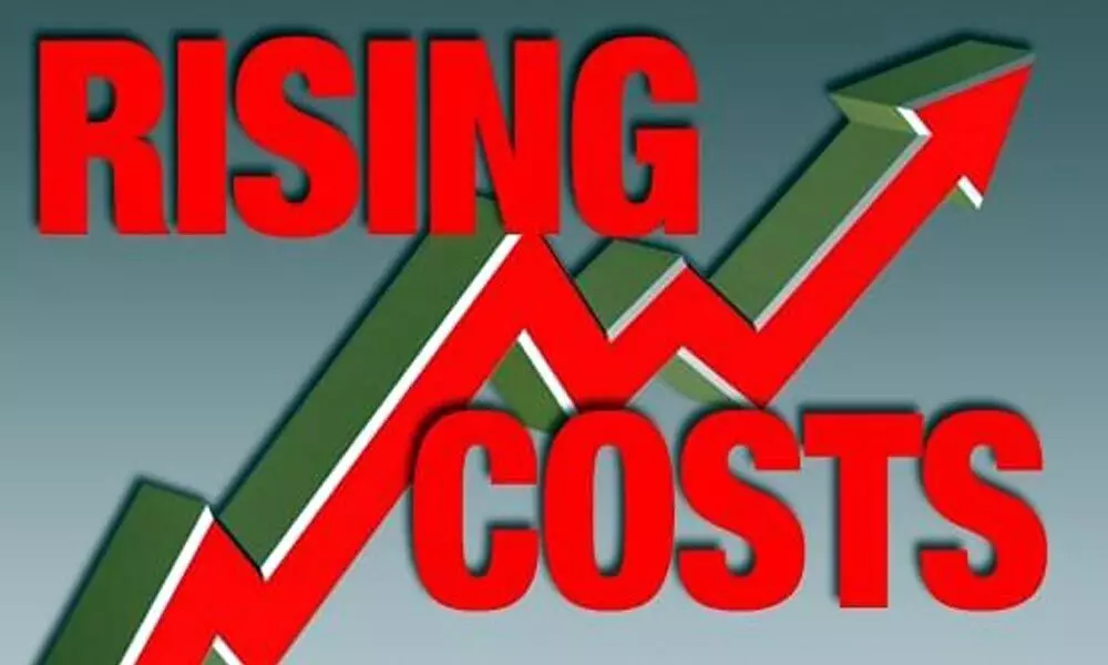 Rising input costs dent corporate profitability