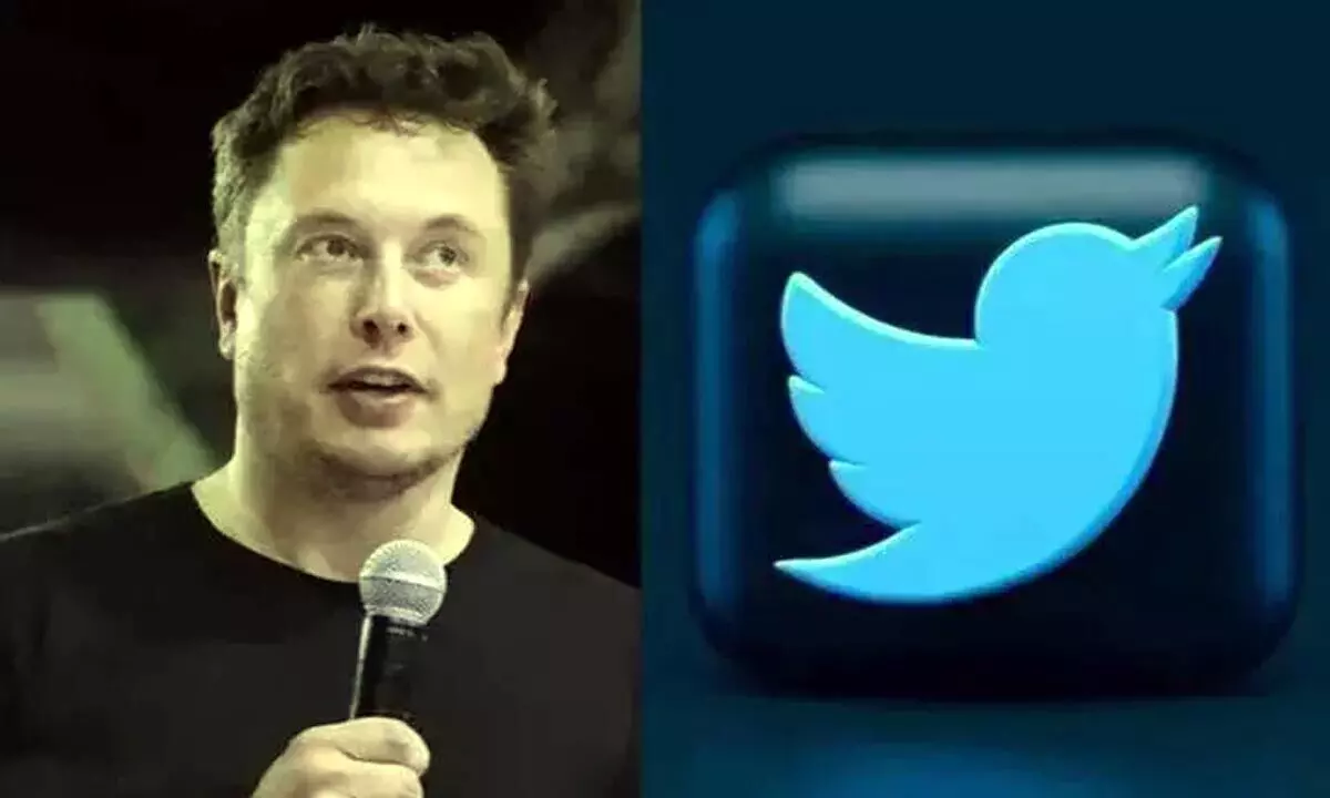 Musk wants to buy Twitter for $41bn