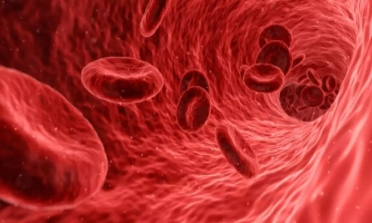 First comprehensive map of human blood stem cell developed