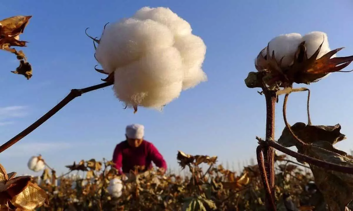 Duty-free raw cotton import to boost textile exports