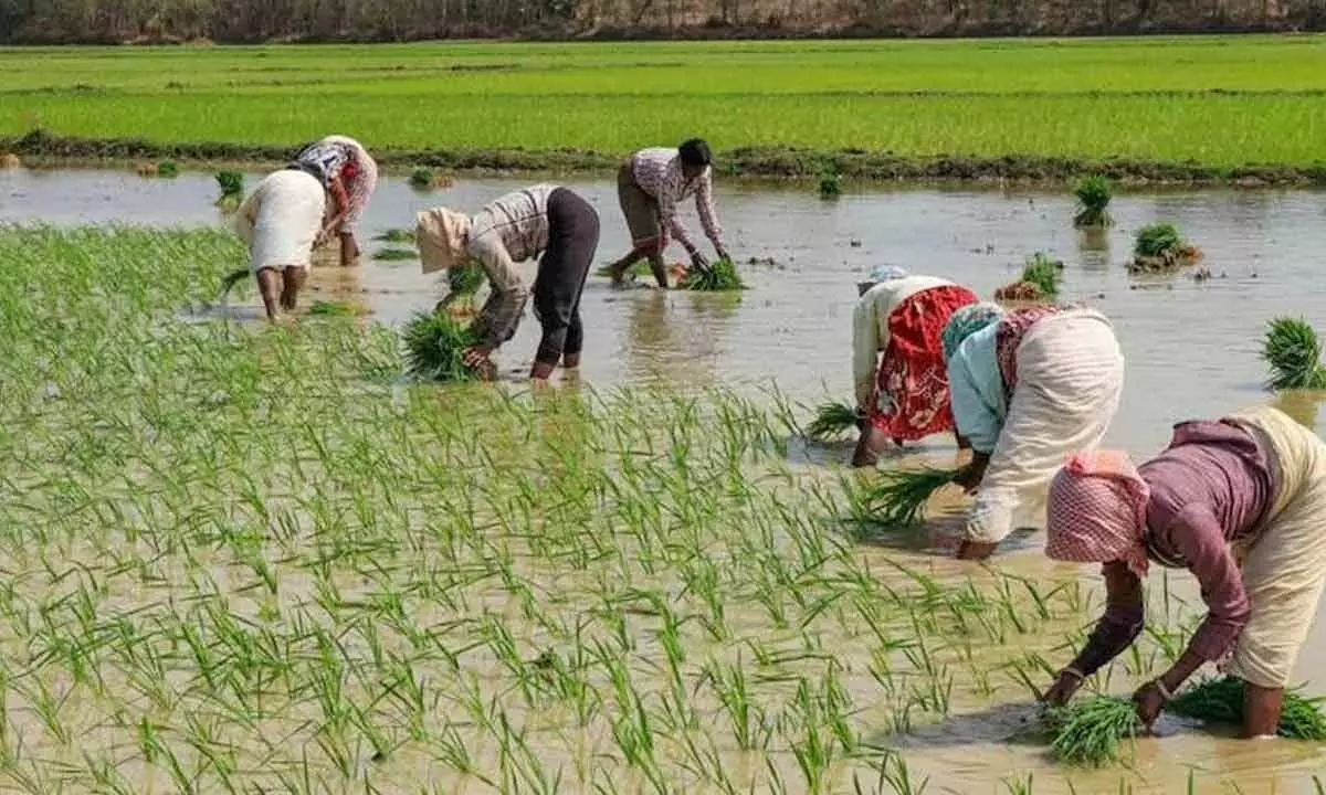 Dvara E-Registry creates platform to connect farmers to service providers
