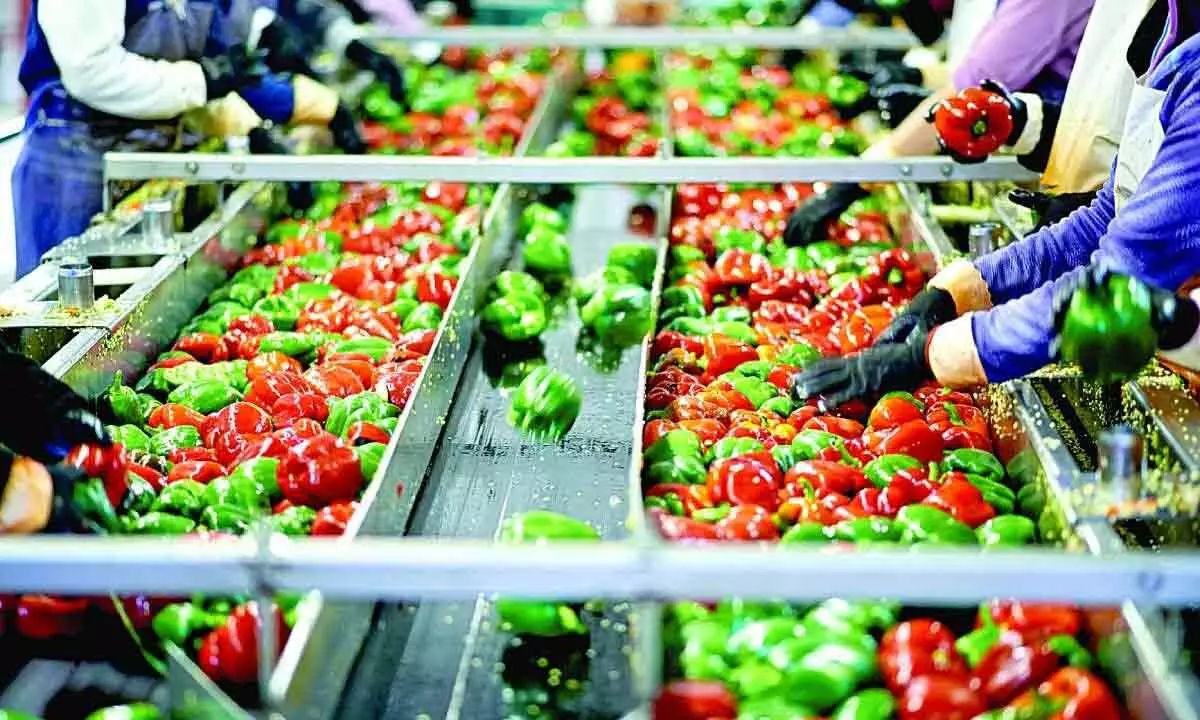 Andhra Pradesh emerging as food processing hub