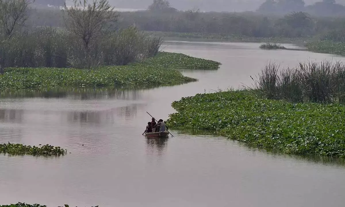 Water seeks its own level, let’s understand water well