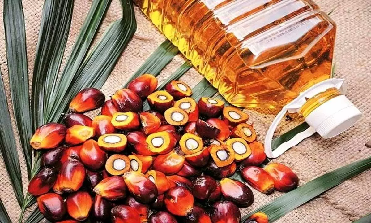 palm oil