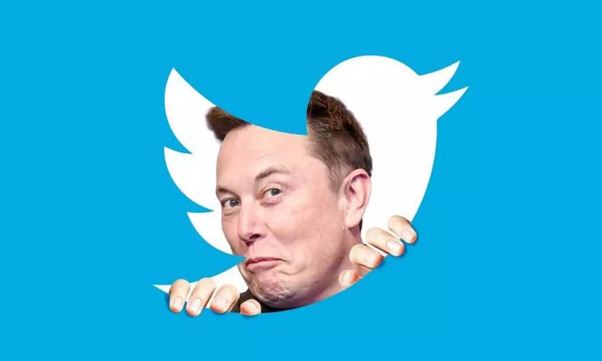 Musk gains foothold in India via Twitter deal