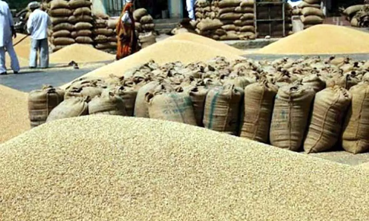 Wheat procurement under MSP likely to be lowest in last 12 yrs