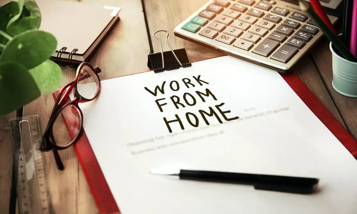Commerce Ministry announces rules for Work from Home