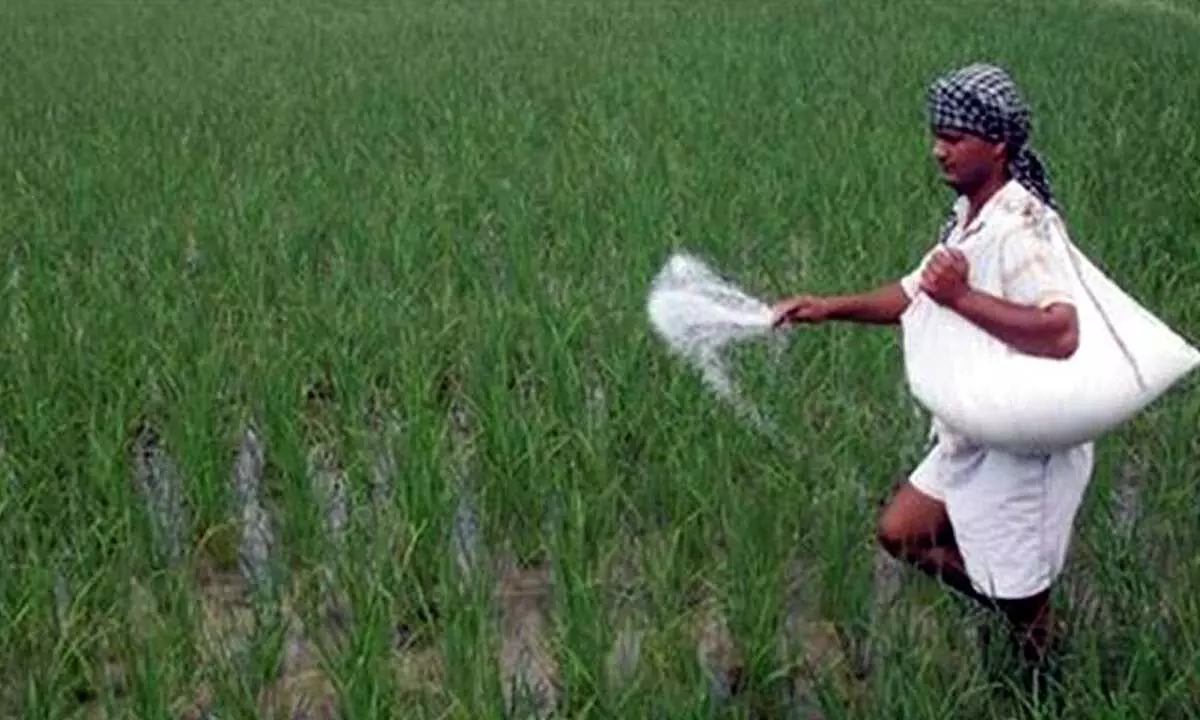 Govt approves Rs60,939-cr subsidy for P&K fertilisers