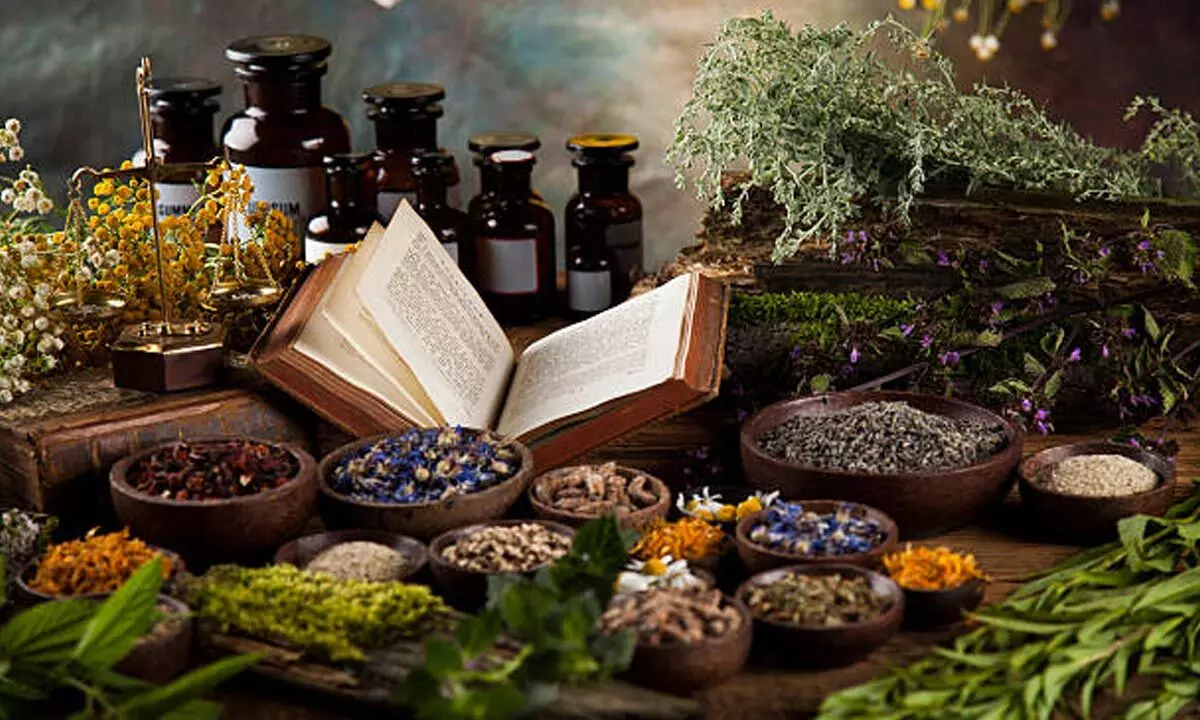 GCTM will prove to be a boon for traditional medicine industry GCTM will prove to be a boon for traditional medicine industry