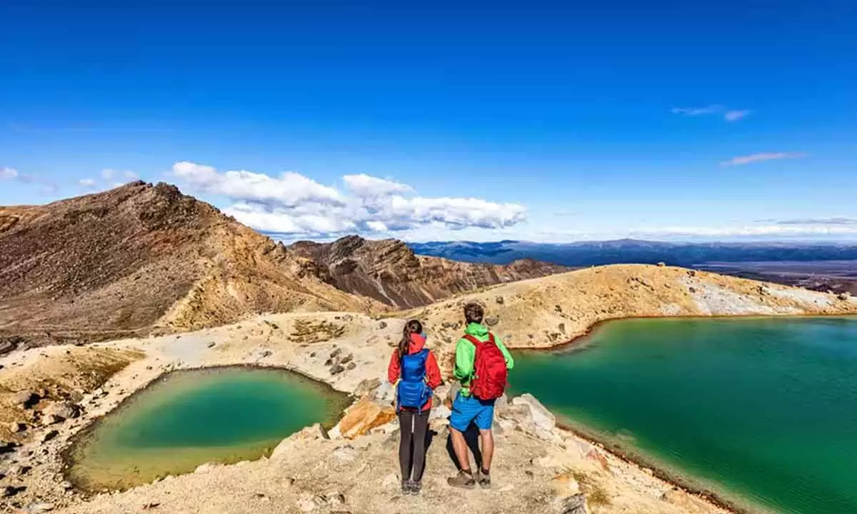 New Zealand focussing on regenerative tourism to bring life back on track