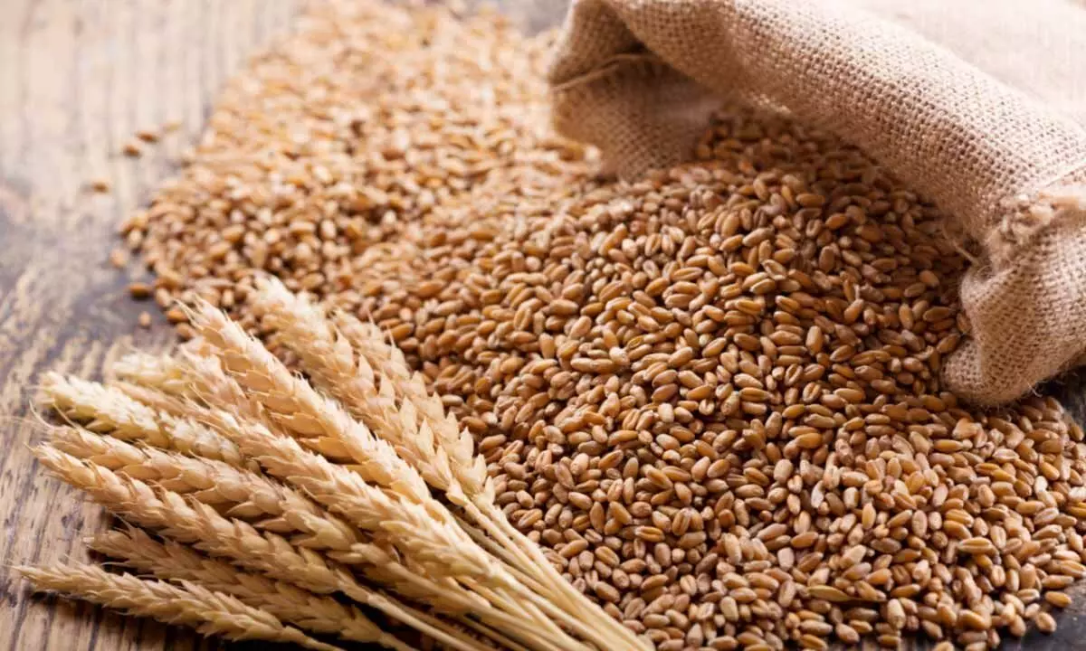 Heatwave, reduced wheat production credit negative for India: Moodys