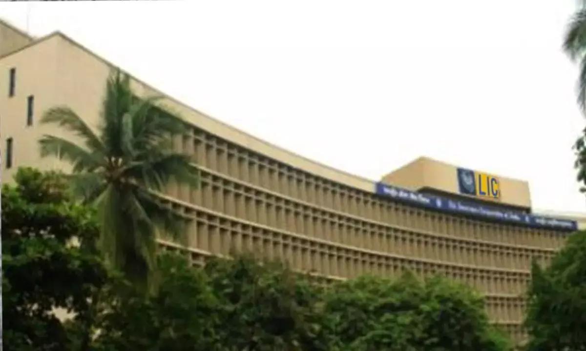 Investors lose Rs 1.2 lakh cr as LIC shares tumble 20% below issue price