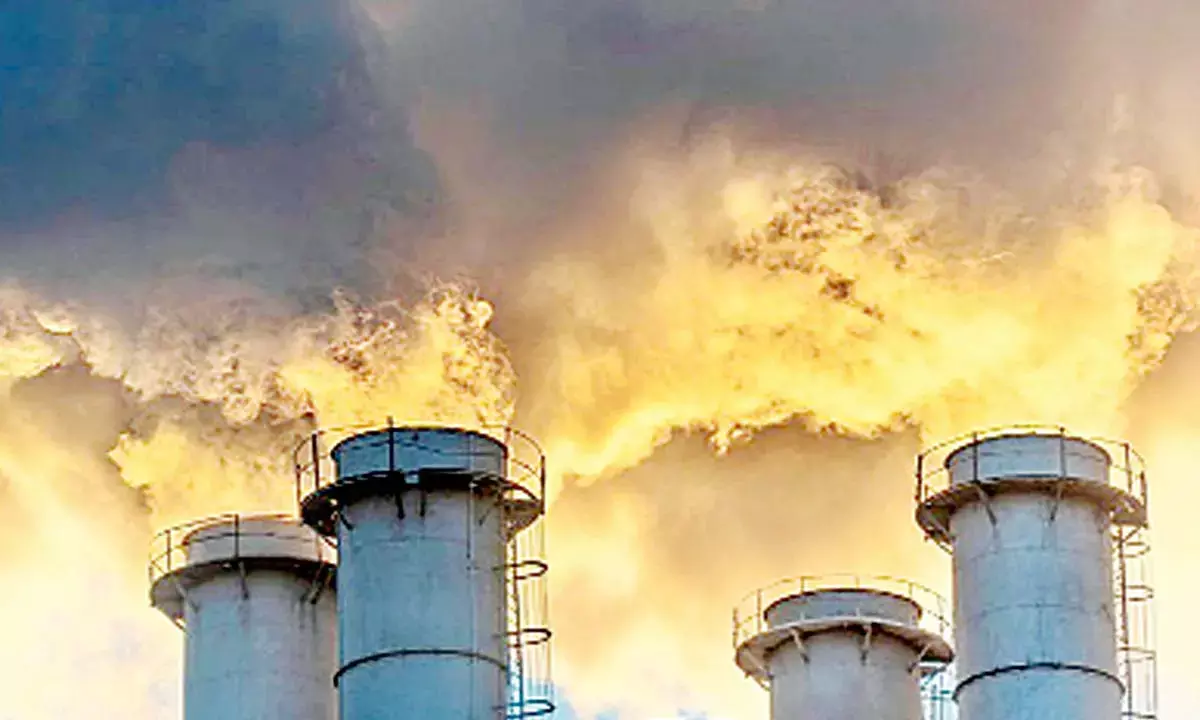 Companies run by risk-averse CEOs causing more carbon emmissions