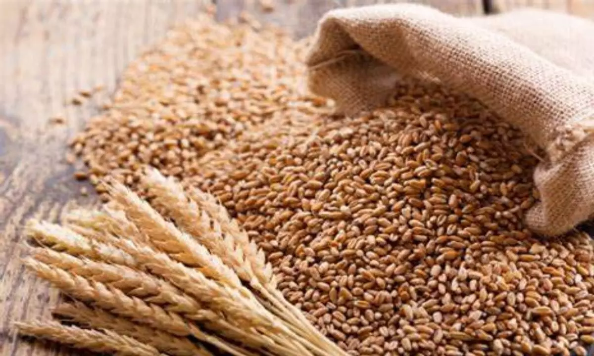 India export ban shakes global wheat prices