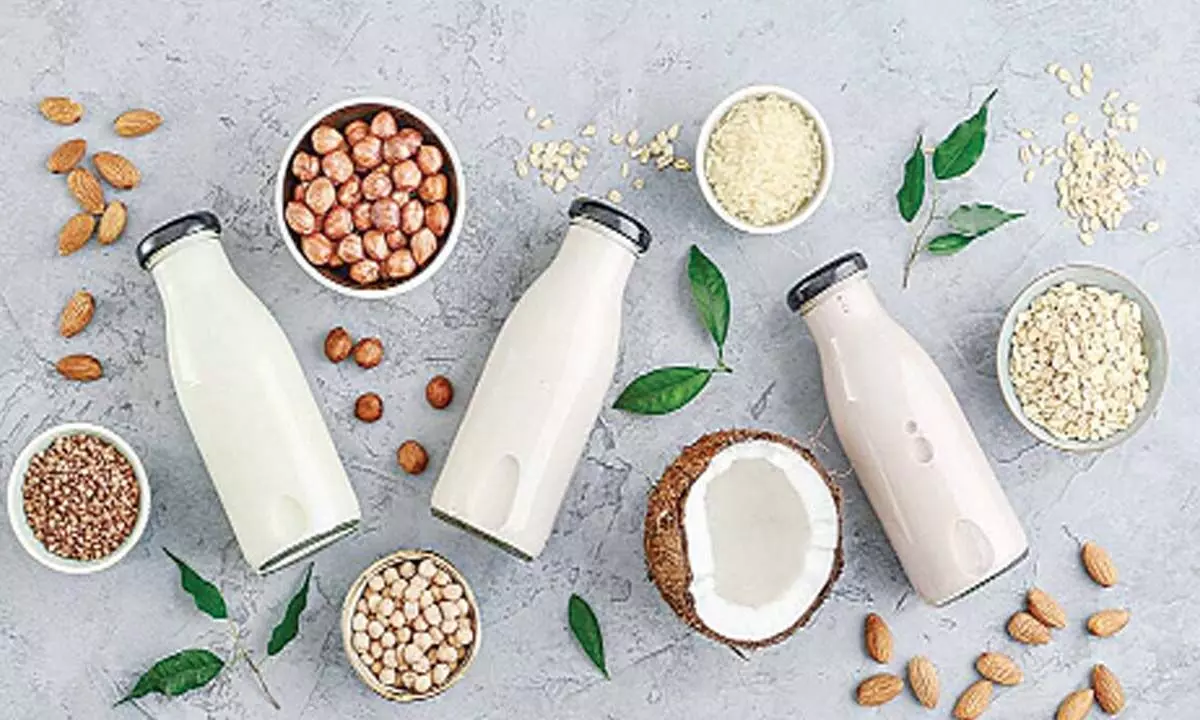 Should you switch to plant-based milk products?