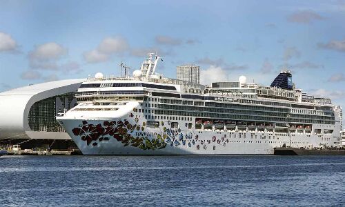 Heres how cruise operators can attract new age passengers