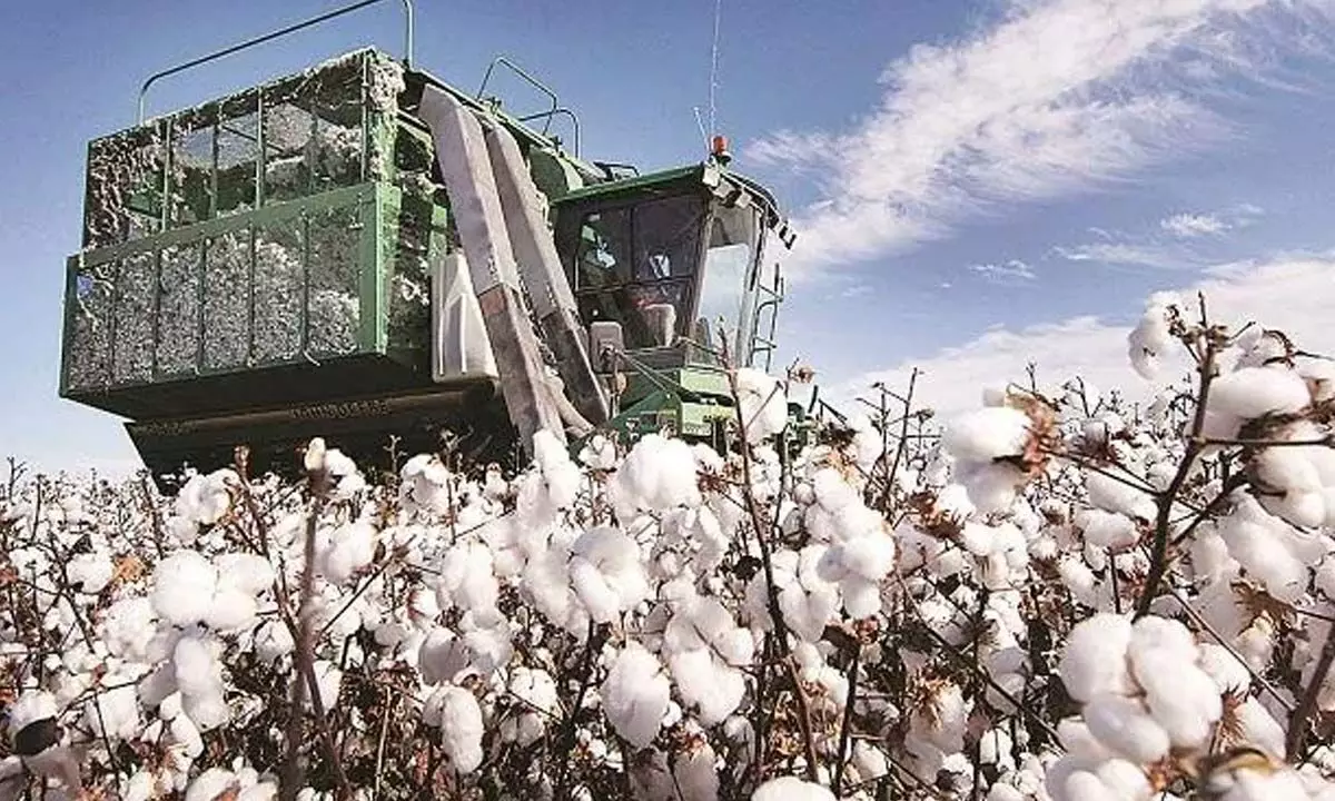 Temporary ban on exports of cotton, cotton yarn is need of the hour