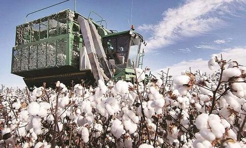Temporary ban on exports of cotton, cotton yarn is need of the hour Temporary ban on exports of cotton, cotton yarn is need of the hour