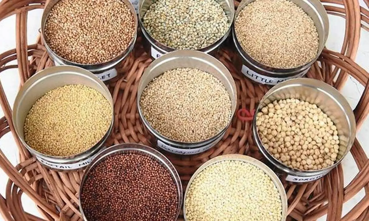 UP plans to increase millet production