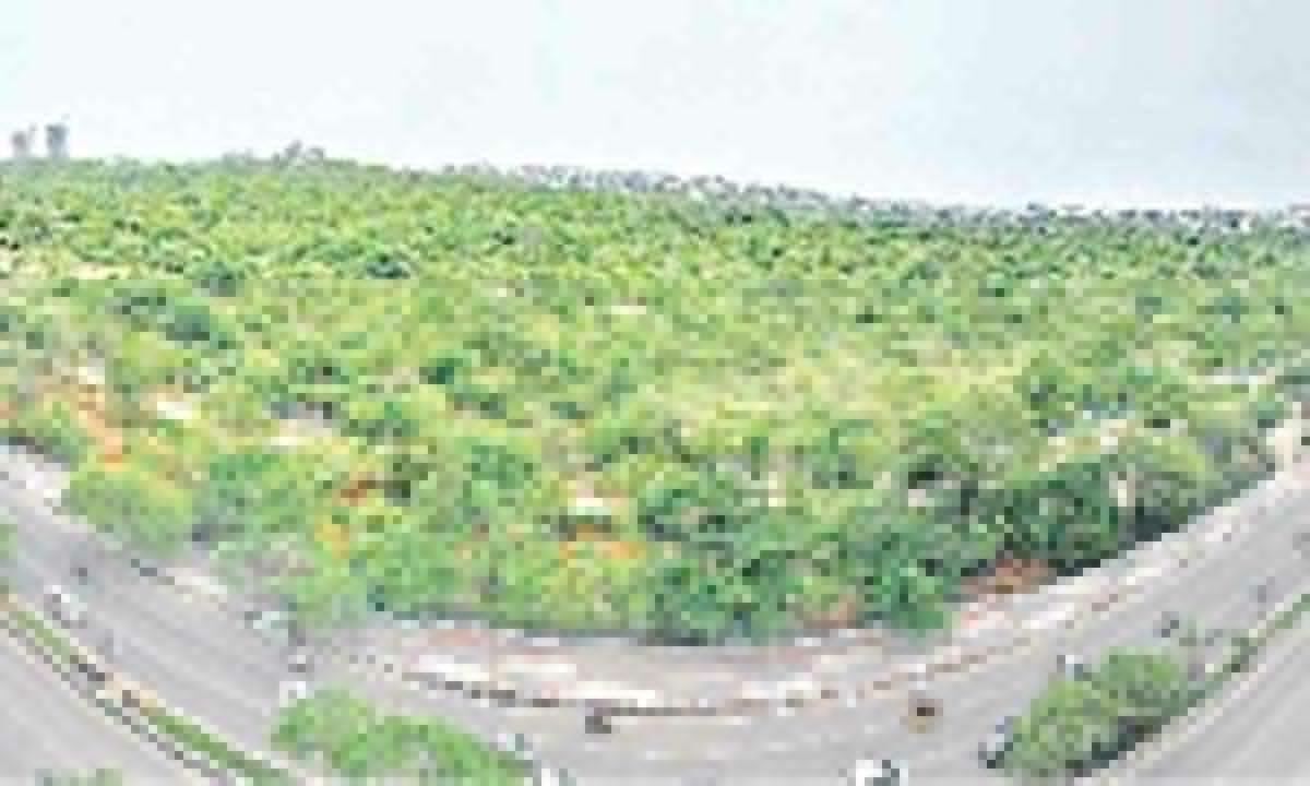 TS govt can create a green city within Hyd
