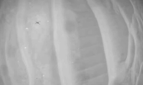 NASAs Mars helicopter captures dramatic video