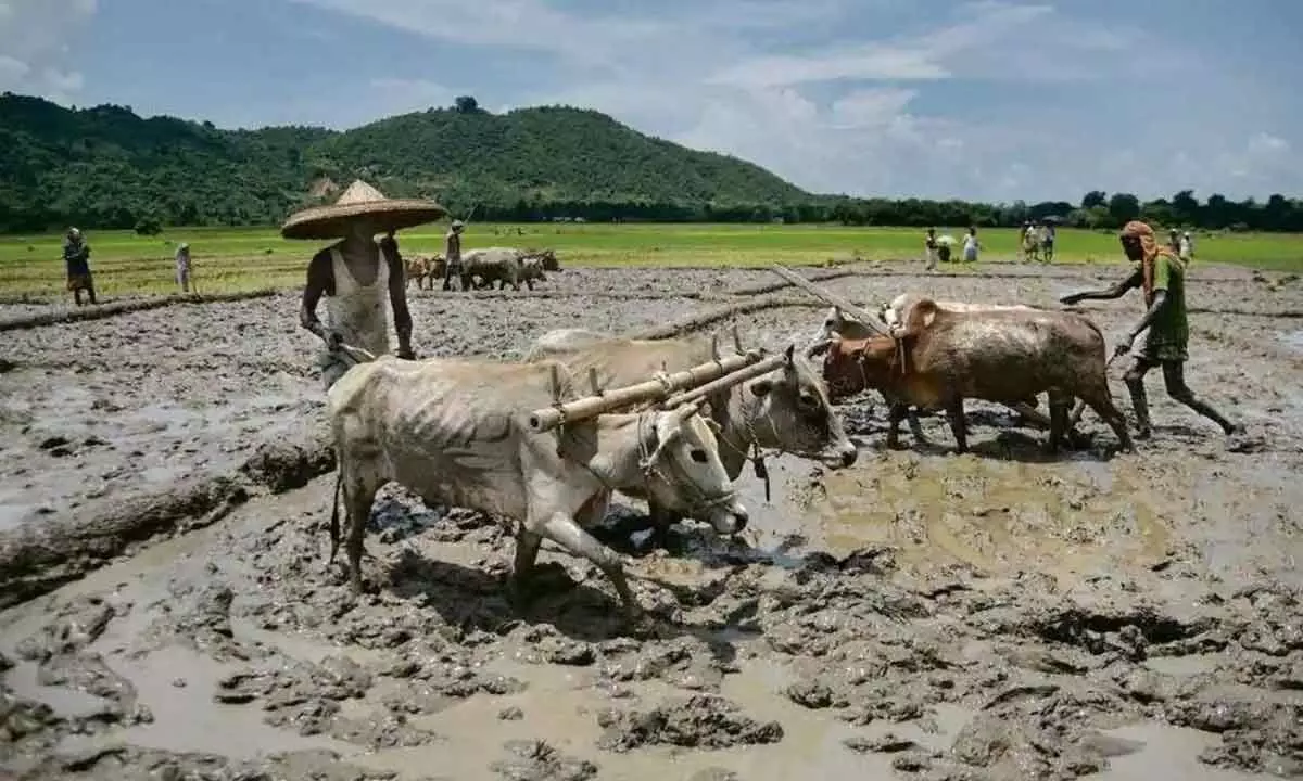 Can normal monsoon this year ease inflation?