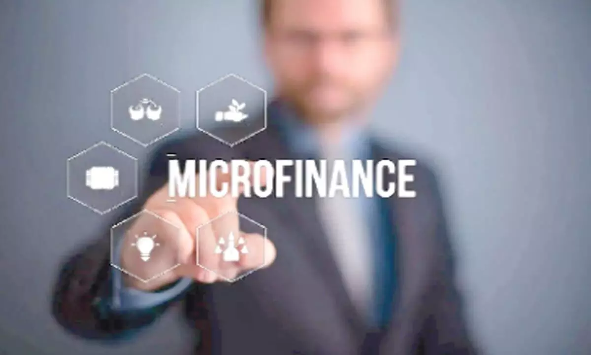 Govt bars Section 8 cos from microfinance biz