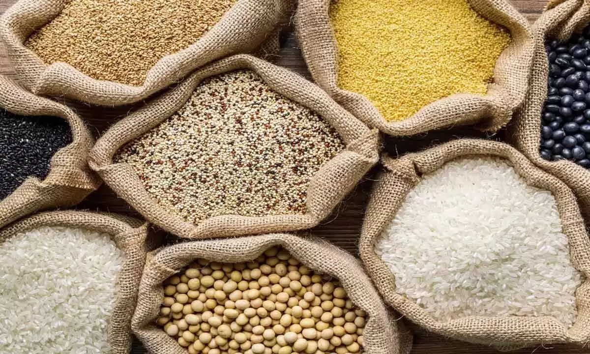 Centre hikes coarse grains MSP to encourage crop diversification
