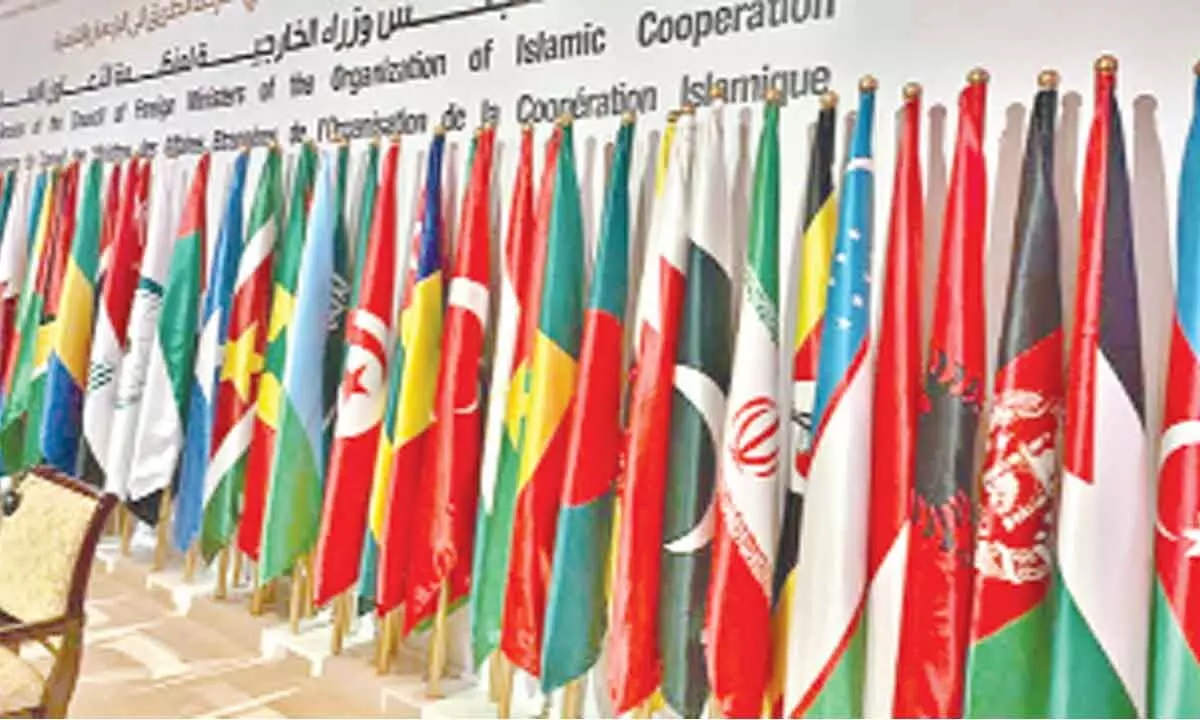 OIC- Why it has two different rules for India and China?