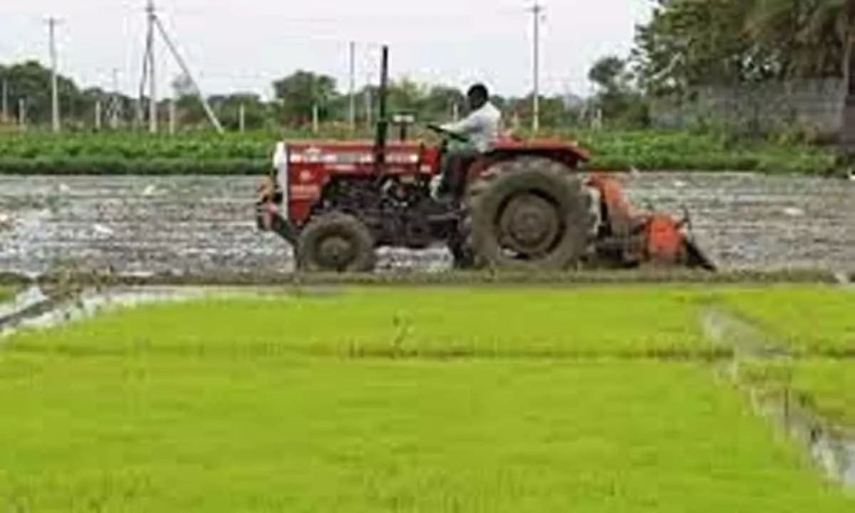 Tractor sales point to growing farmer income in Chhattisgarh