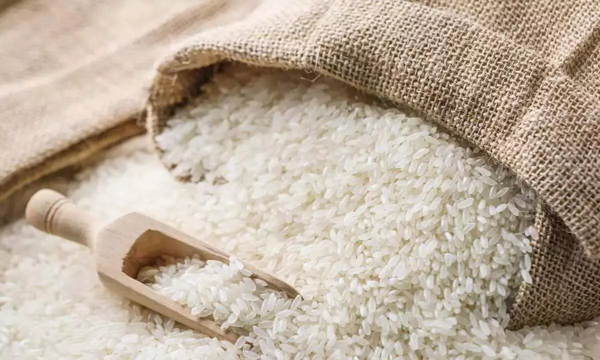 Centre bans rice export