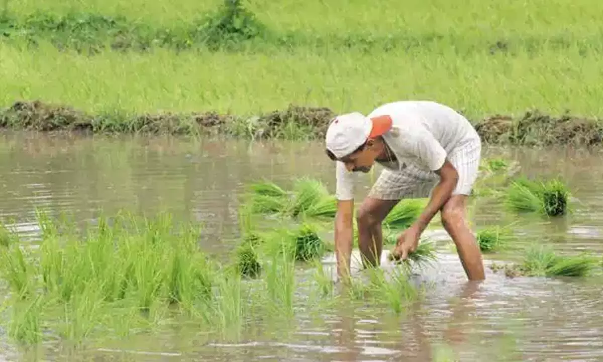 UP: Verification of beneficiary farmers from May